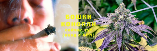 стафф Верхний Тагил