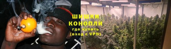 стафф Верхний Тагил