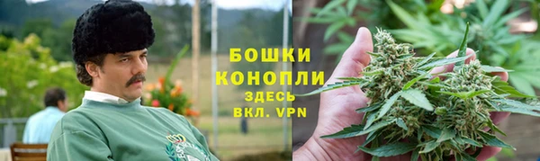 стафф Верхний Тагил