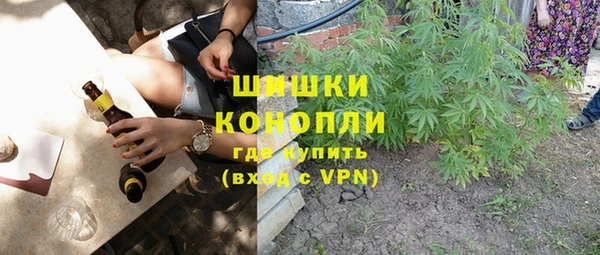 стафф Верхний Тагил